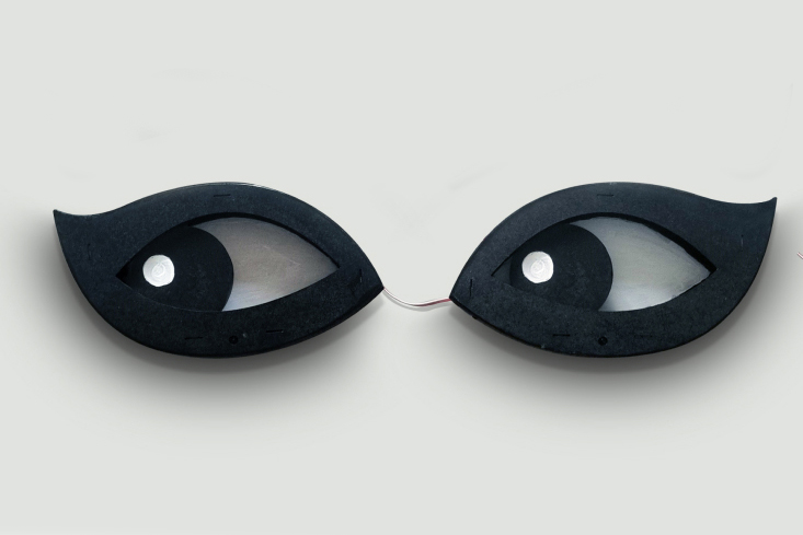 Moving Eye Module